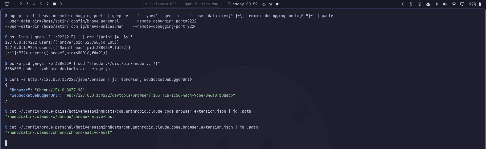 Terminal com os processos do Brave, cada um com o seu --user-data-dir e --remote-debugging-port, a saída do ss mostrando o conflito na porta 9224 com o bridge do chrome-devtools-axi, e os manifestos de native messaging apontando para ~/.claude-w e ~/.claude.