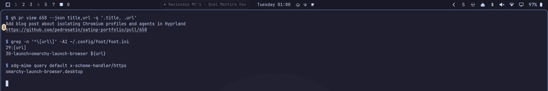 Terminal foot no modo de URLs, com a letra S marcando o link da pull request.